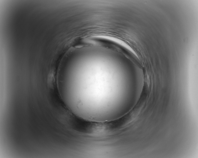 X0000088700127200705311222
