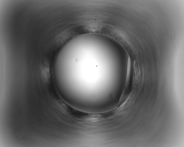X0000088700128200705311222