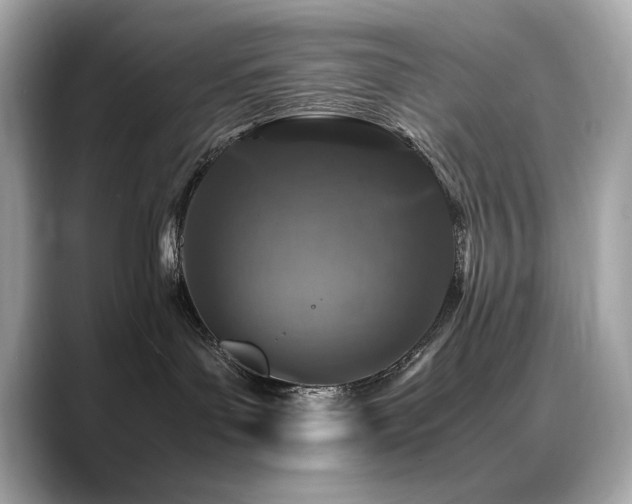 X0000088700143200705311222