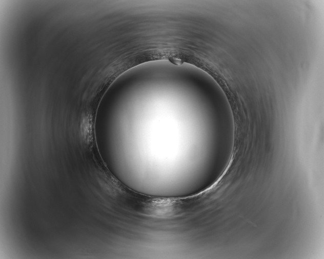 X0000088700144200705311222