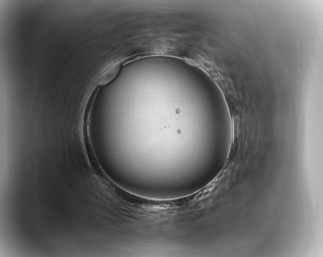 X0000088700147200705311221