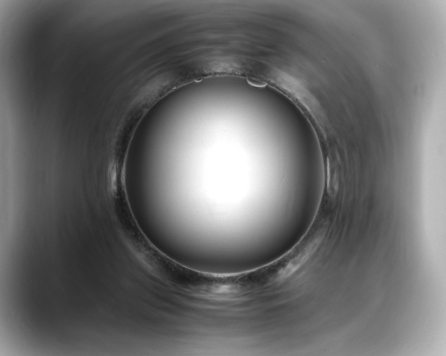 X0000088700157200705311221