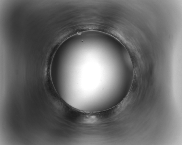 X0000088700159200705311221