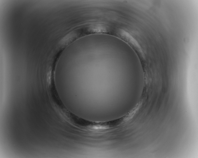 X0000088700163200705311221