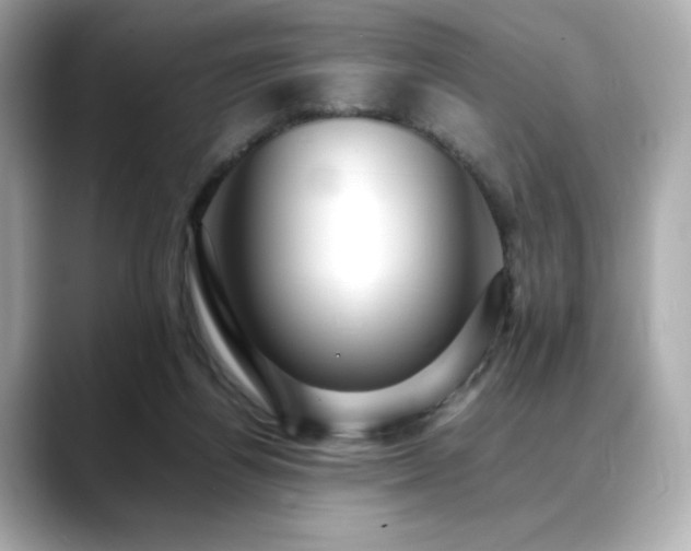 X0000088700164200705311221