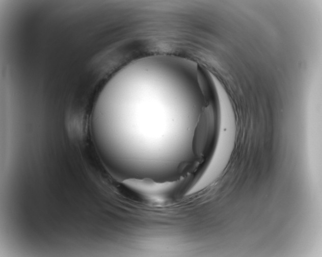 X0000088700168200705311221