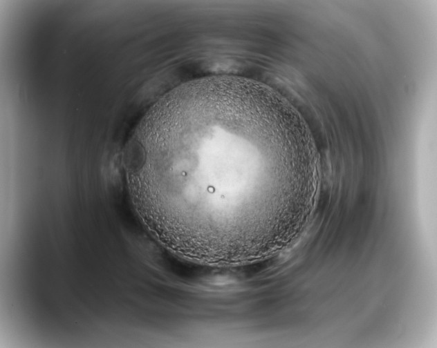 X0000088700175200705311221