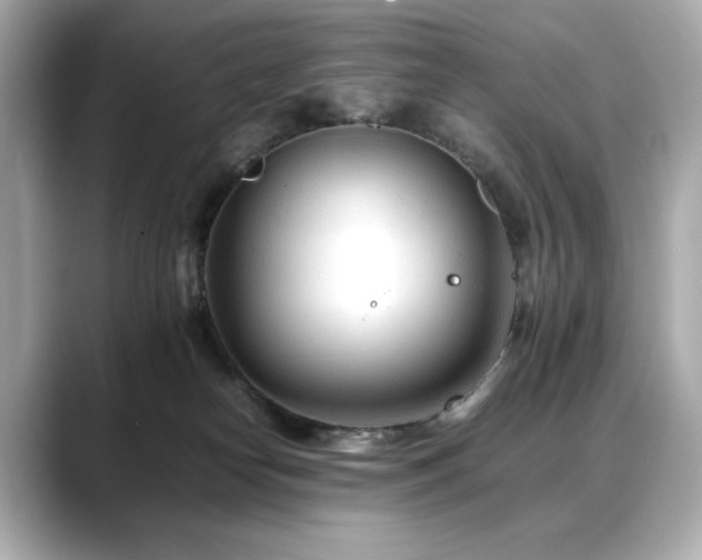 X0000088700182200705311221
