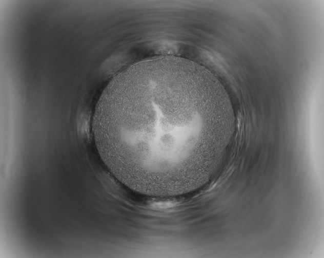 X0000088700185200705311222