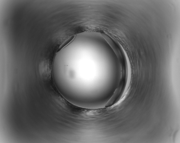 X0000088700186200705311222