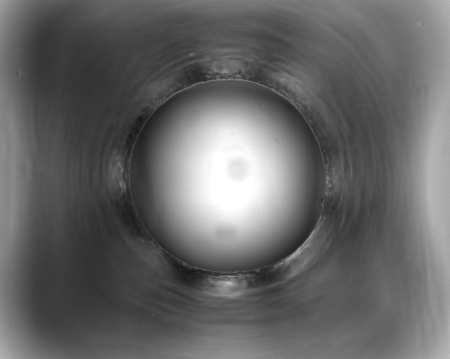 X0000088700187200705311222