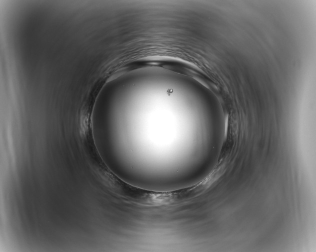 X0000088700188200705311222