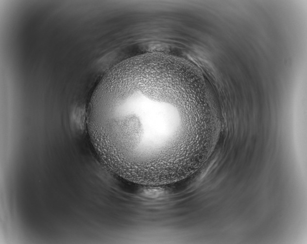 X0000088700189200705311222