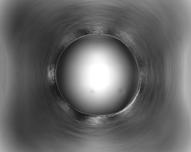 X0000088700190200705311222