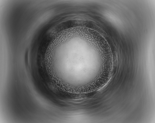 X0000088700191200705311222