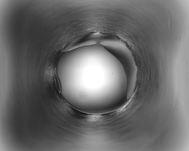 X0000088700192200705311222