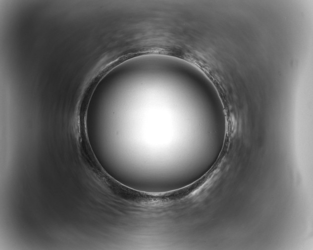 X0000088700198200705311221