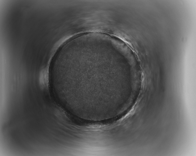 X0000088700200200705311221