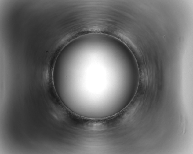 X0000088700208200705311221