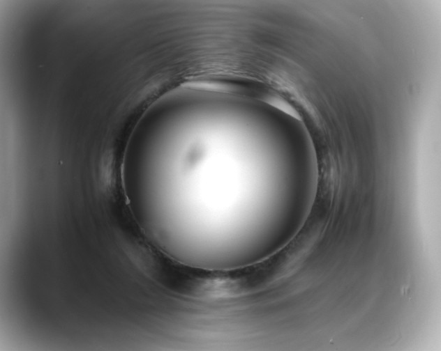 X0000088700212200705311221