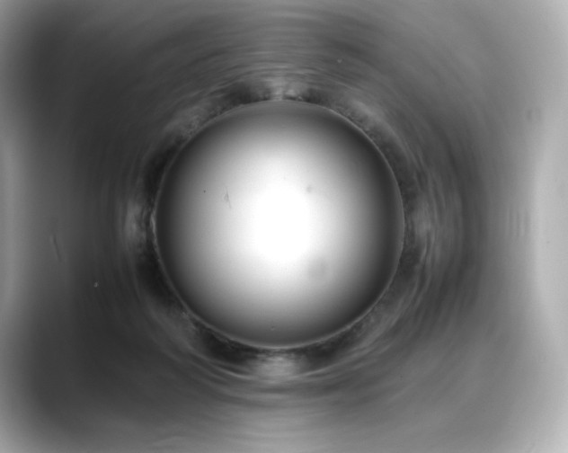 X0000088700218200705311221