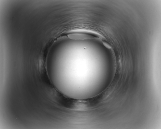 X0000088700222200705311221
