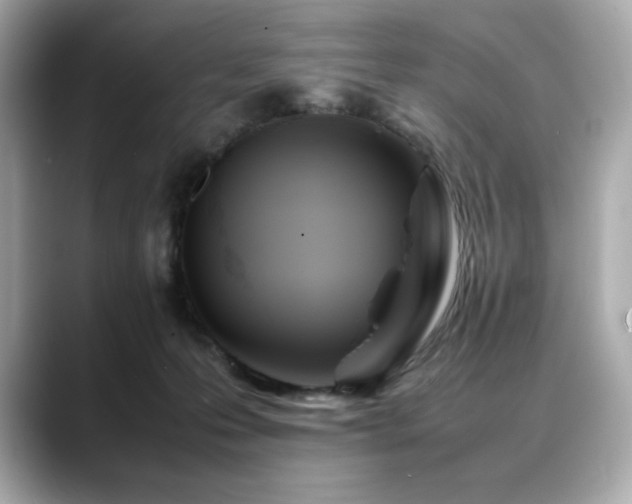 X0000088700223200705311221