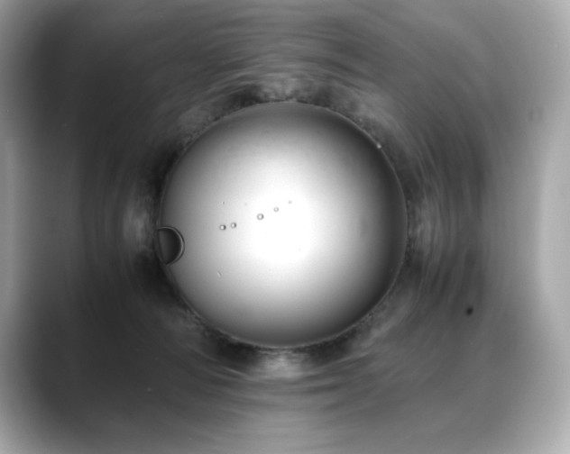 X0000088700226200705311221