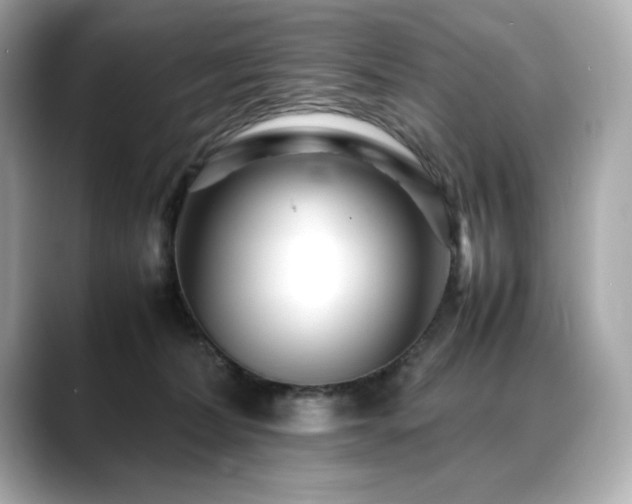 X0000088700228200705311221