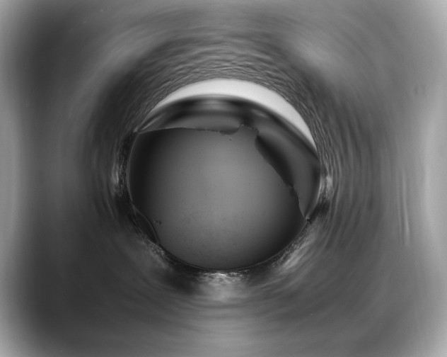 X0000088700239200705311220