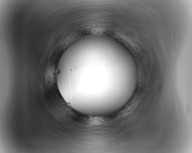 X0000088700240200705311220