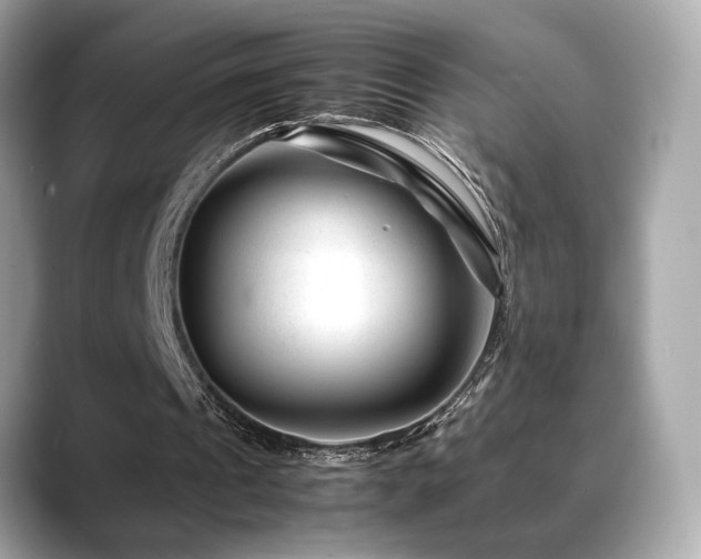 X0000088700241200705311220