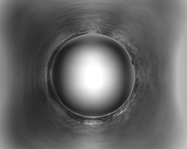 X0000088700242200705311220