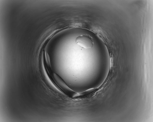 X0000088700243200705311220