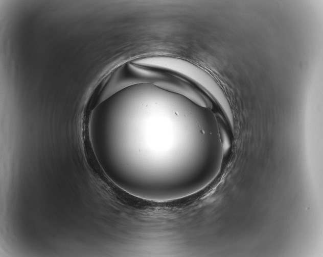 X0000088700244200705311220