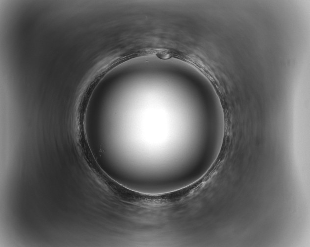 X0000088700245200705311220