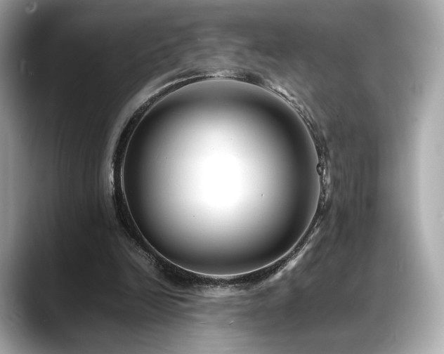 X0000088700246200705311220