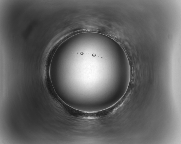 X0000088700247200705311220