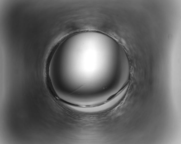 X0000088700248200705311220