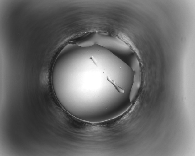 X0000088700249200705311220