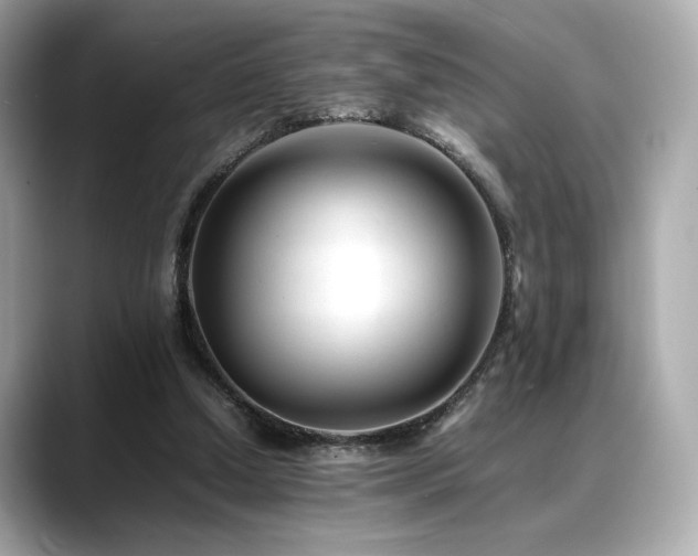 X0000088700250200705311220