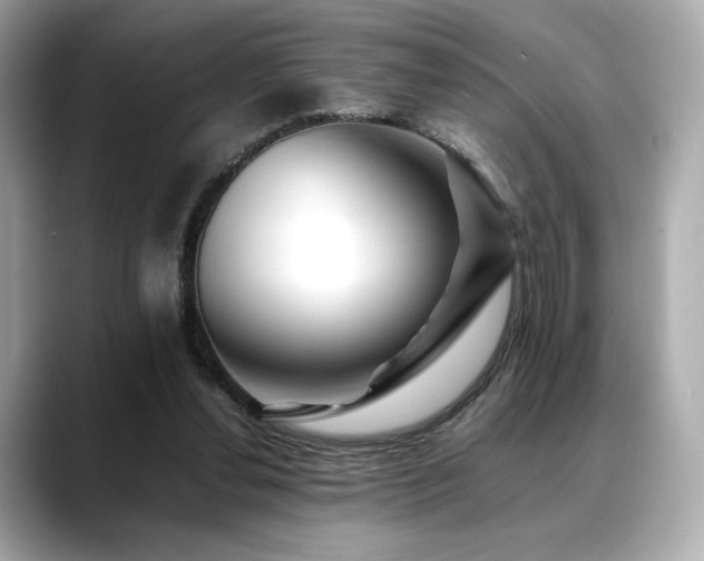 X0000088700252200705311220