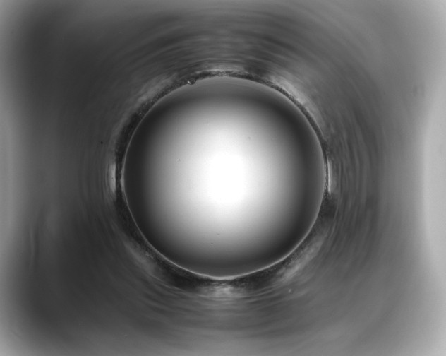 X0000088700253200705311220