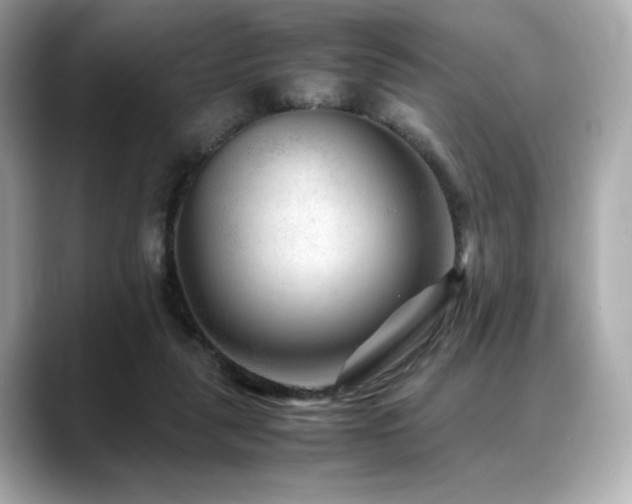 X0000088700259200705311220
