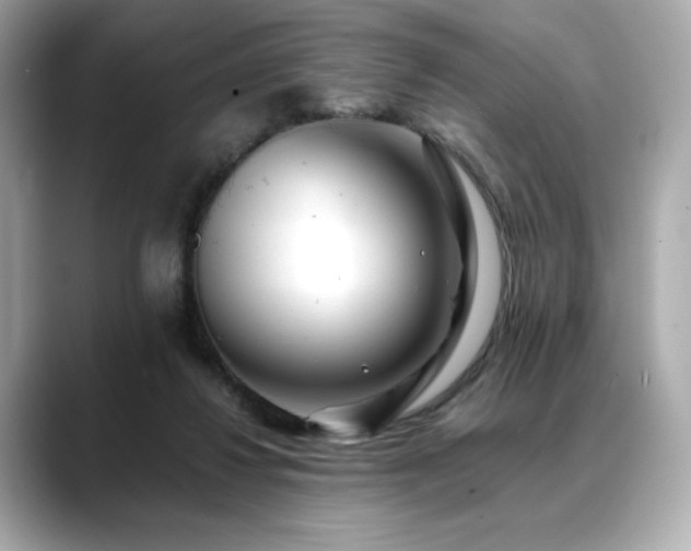 X0000088700260200705311220
