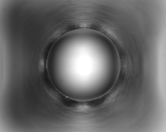 X0000088700262200705311220