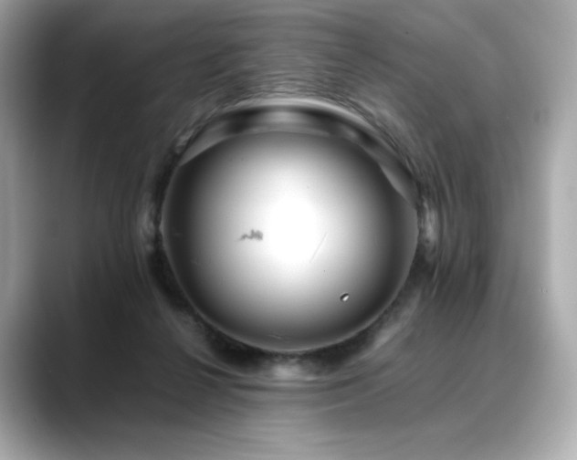 X0000088700264200705311220