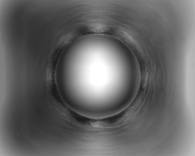 X0000088700268200705311220