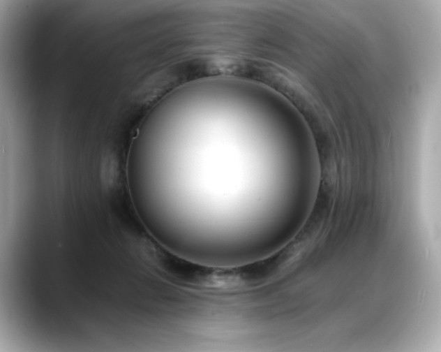 X0000088700270200705311220