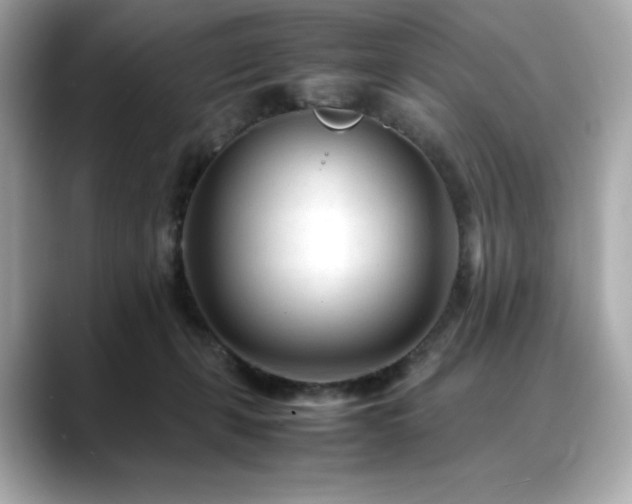 X0000088700271200705311220